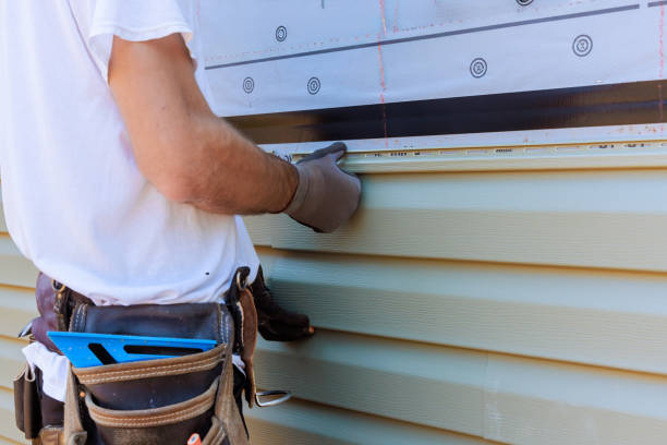 Affordable Vinyl Siding solutions in Braddock, VA